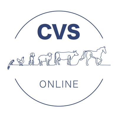 CVS Online