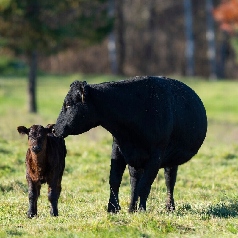 Resources for Farmers