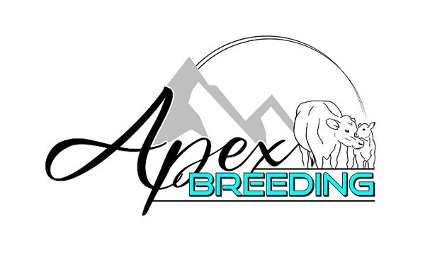 Apex Breeding Apex Breeding