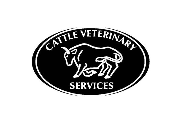 Cattle Vet Services Cattle Vet Services