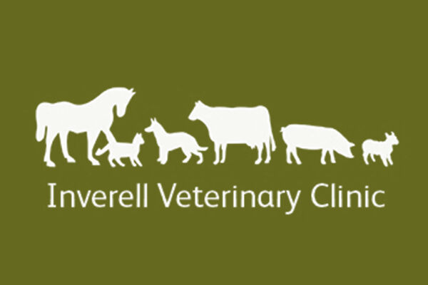 Inverell Vet Clinic Inverell Vet Clinic